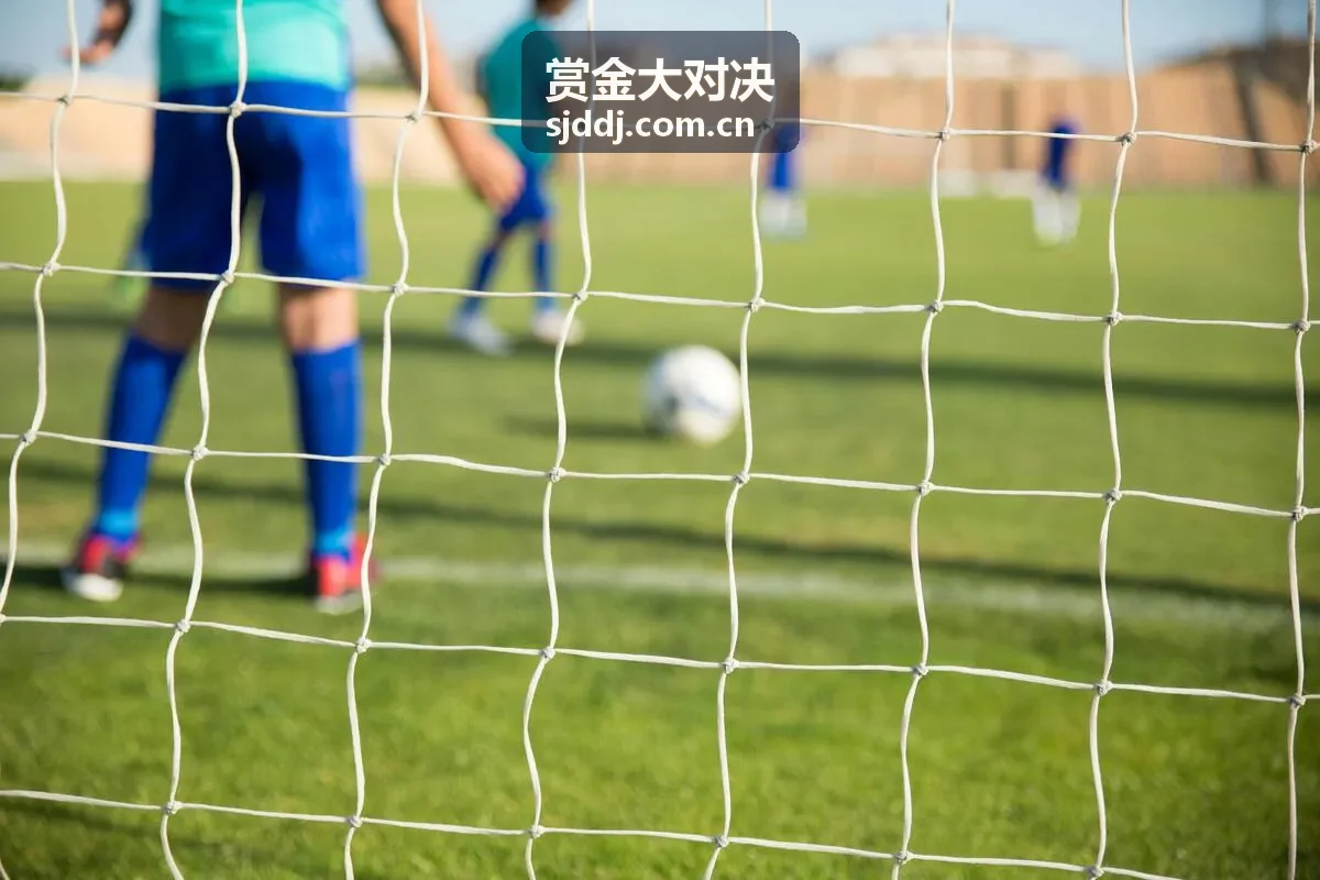赏金大对决赏金池透明度升级封面图